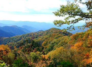 tennessee/great-smoky-mountains-national-park/landmark/a-walk-in-the-woods