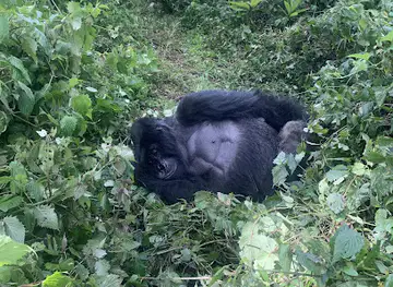 Green Hills Ecotours