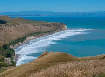 new-zealand/hawke-s-bay/landmark/gannet-colony