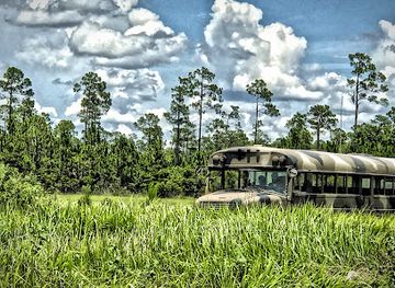 florida/sun-coast/landmark/babcock-ranch-eco-tours