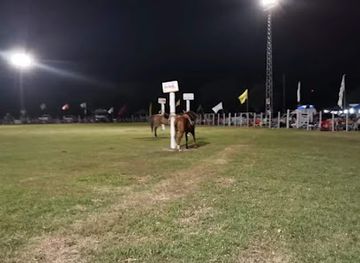 uruguay/northern-region/landmark/ruedo-sociedad-criolla-la-querencia