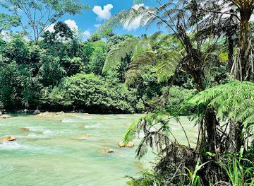 ecuador/tena/landmark/river-people-ecuador-rafting-kayaking-in-tena