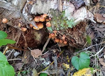 oregon/umatilla-county/landmark/upper-mill-creek-history