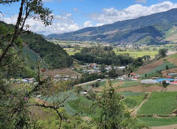 panama/volcan/landmark/finca-dracula