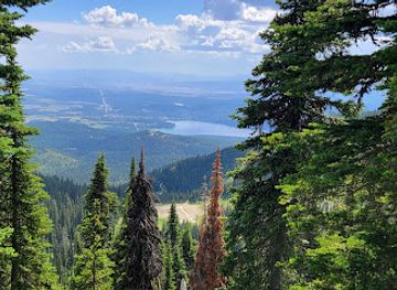 montana/whitefish/landmark/danny-on-trail