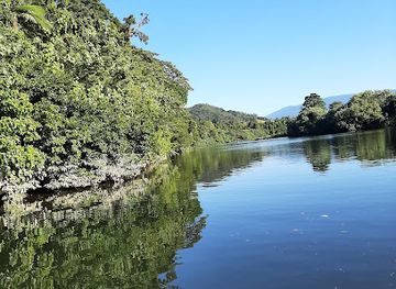 australia/cape-tribulation/landmark/daintree-river-wild-watch
