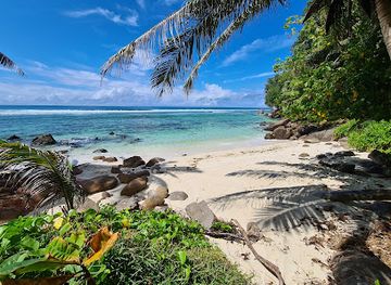 seychelles/ile-souris/landmark/anse-bougainville-beach