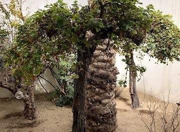 bahrain/jebel-dukhan/landmark/archaeologies-of-green-pavilion