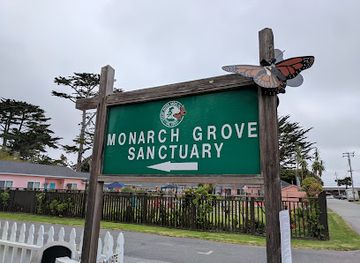 california/monterey/landmark/monarch-butterfly-sanctuary