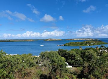 antigua-and-barbuda/half-moon-bay/landmark/stingray-city-antigua