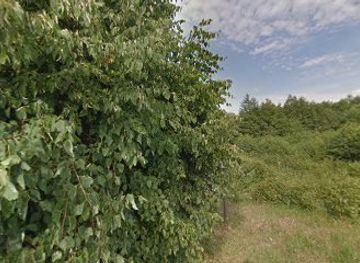 estonia/kärdla/landmark/ulendi-ohvriparn