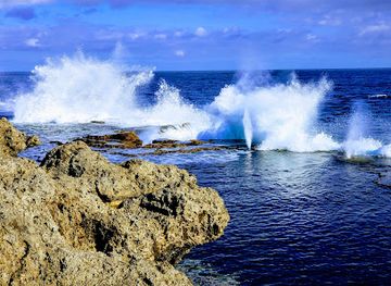 tonga/nuku-island/landmark/cafe-escape