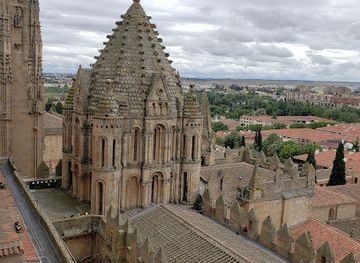 spain/salamanca/landmark/catedral-vieja-de-santa-maria-de-la-sede-de-salamanca