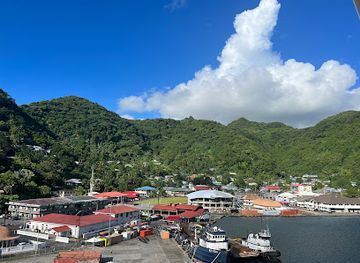 american-samoa/pago-pago-harbor/landmark/jean-p-haydon-museum