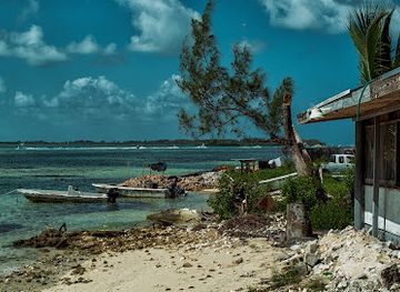 the-bahamas/bimini-islands/landmark/dolphin-house-museum-10pp
