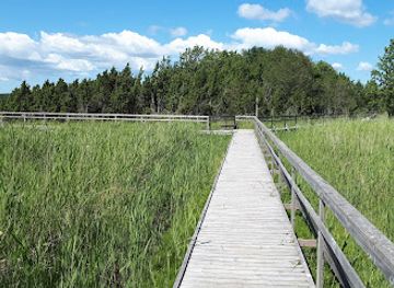 estonia/hiiumaa-island/landmark/orjaku-opperada
