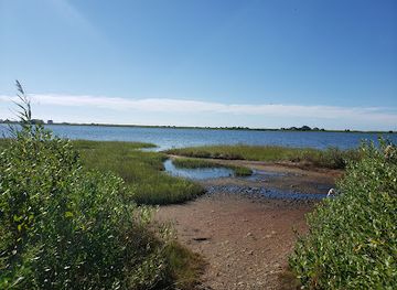 rhode-island/trustom-pond-national-wildlife-refuge/landmark/audubon-lathrop-wildlife-refuge