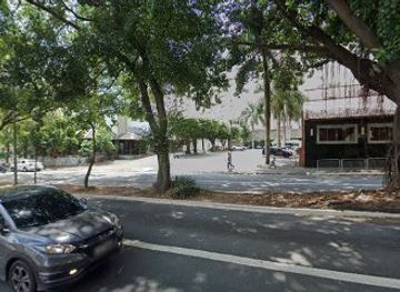 brazil/sao-paulo/pinheiros/landmark/albero-di-ficus-secolare