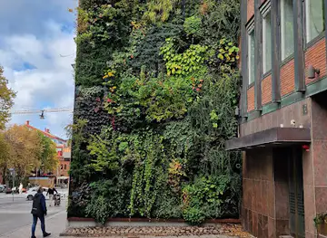 Wall of plants