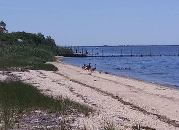 new-york/long-island/landmark/manor-of-st-george