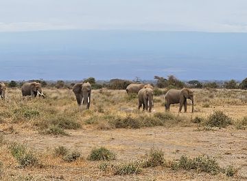 kenya/amboseli-national-park/landmark/noomotio-observation-point