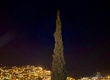 jordan/petra/wadi-musa/landmark/al-shajarah-al-tawila