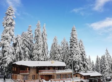 bulgaria/borovets/landmark/silver-fox