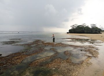 fiji/sigatoka/landmark/coral-coast-adventures-fiji-limited