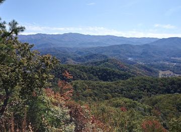 tennessee/duck-river-valley/landmark/sharp-s-ridge-veterans-memorial-park