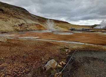 iceland/western-region/landmark/reykjanesfolkvangur