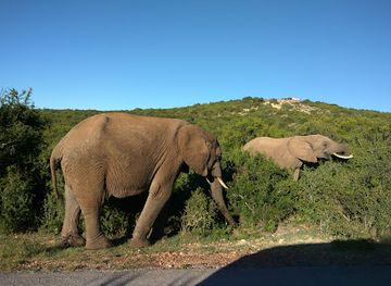 south-africa/addo-elephant-national-park/landmark/zuurkop-lookout