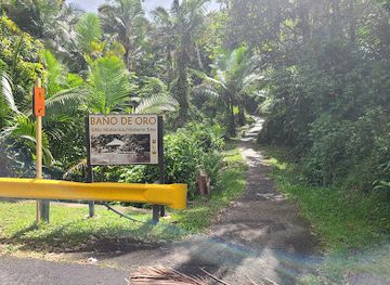 puerto-rico/el-yunque-national-forest/landmark/bano-de-oro