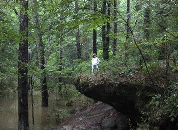 louisiana/kisatchie-national-forest/landmark/wolf-rock-cave-and-historical-marker