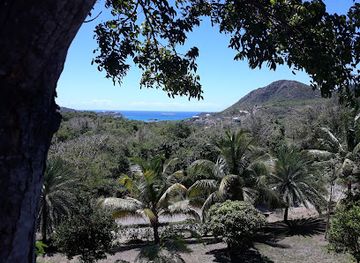 antigua-and-barbuda/falmouth/landmark/yummy-vegan-ice-cream-and-vegetarian-food
