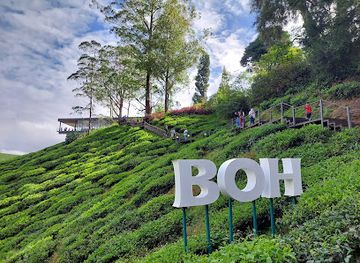 malaysia/cameron-highlands/landmark/boh-tea-centre-sungei-palas-garden
