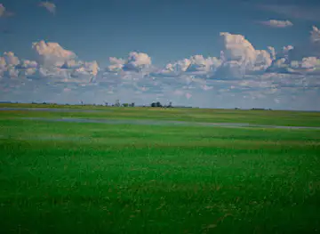 Barotse Floodplain