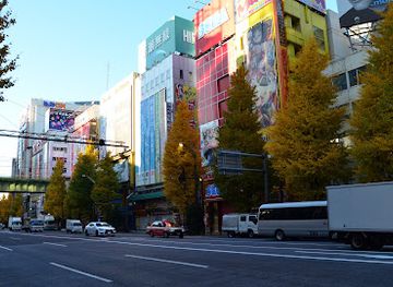 japan/tokyo/akihabara/landmark/akihabara-udx
