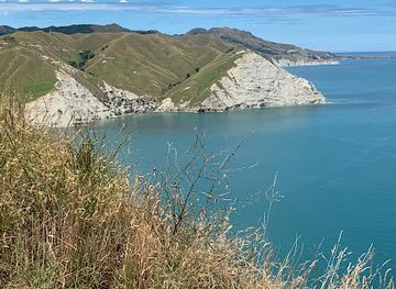 Te Mata Peak