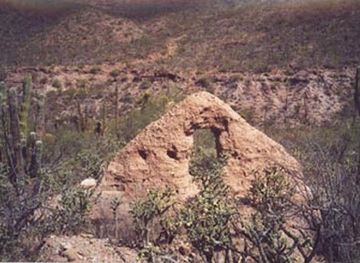 mexico/baja-california-peninsula/landmark/sitio-de-la-visita-de-san-pablo-y-o-los-dolores-de-arriba