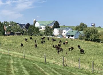 ohio/amish-country/landmark/amish-heartland-group-tours-llc