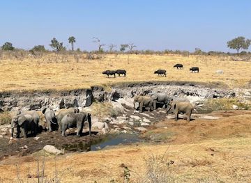zimbabwe/hwange-national-park/landmark/hwange-safaris