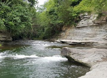 illinois/driftless-area/landmark/illinois-river-road-national-scenic-byway