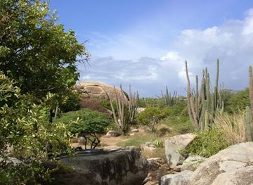 aruba/arikok-national-park/landmark/cunucu-arikok