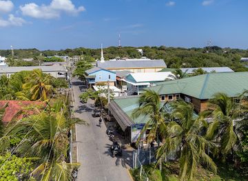 honduras/utila/landmark/mermaids