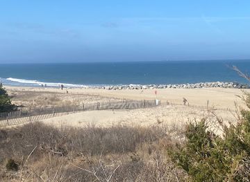delaware/cape-henlopen-state-park/landmark/herring-point