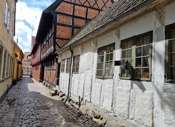 denmark/odense/attraction/montergarden