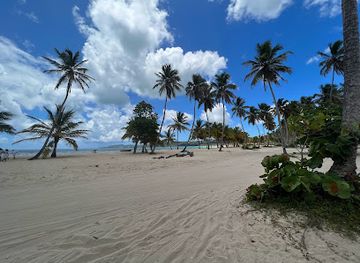 dominican-republic/samana-peninsula/landmark/cano-frio