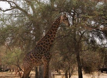 senegal/mbour/landmark/happy-excursions-senegal