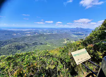 Best of All Lookout