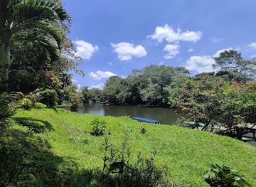 costa-rica/sarapiqui/landmark/muelle-de-sarapiqui